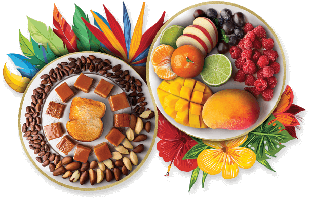 Visual brazil & Colombia Jacobs Origins Fusion