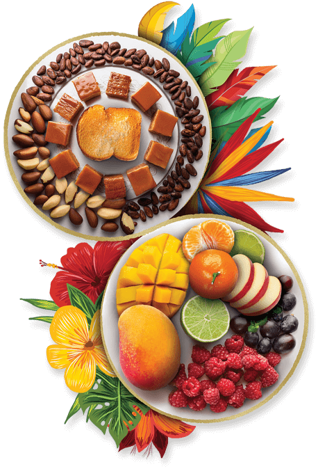 Visual brazil & Colombia Jacobs Origins Fusion