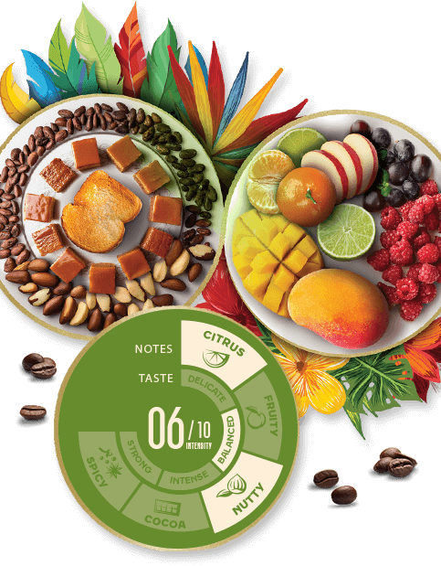 Visual brazil & Colombia Jacobs Origins Fusion