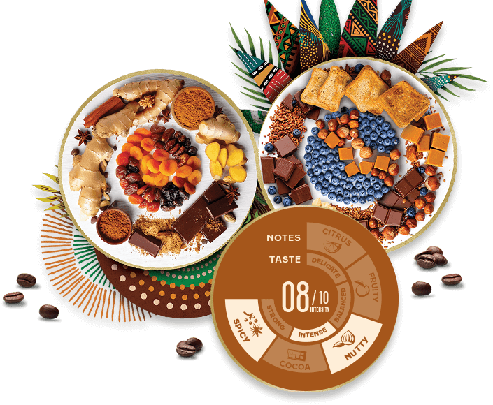 Visual Uganda & Kenya Jacobs Origins Fusion