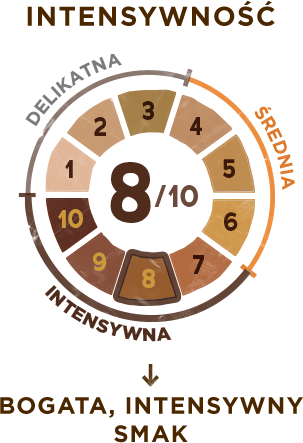 intensywnosc-8-infografika
