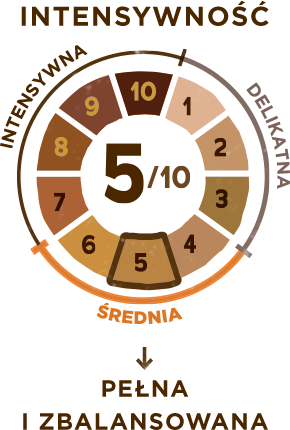 intensywnosc-infografika